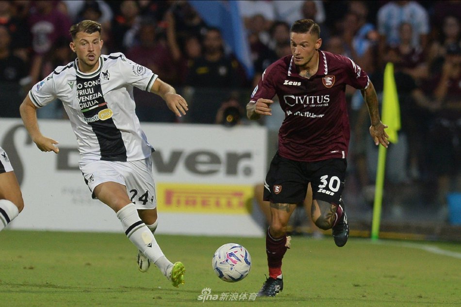 的职业生涯 的职业生涯